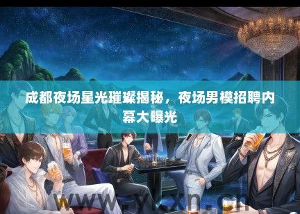 成都夜场星光璀璨揭秘，夜场男模招聘内幕大曝光